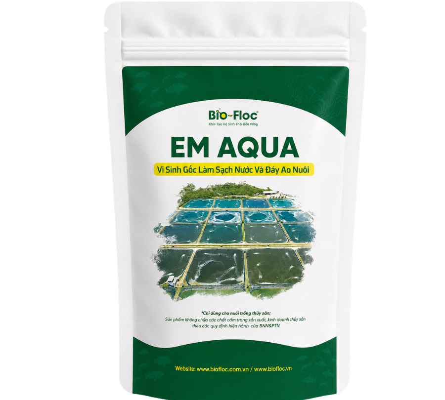 EM AQUA