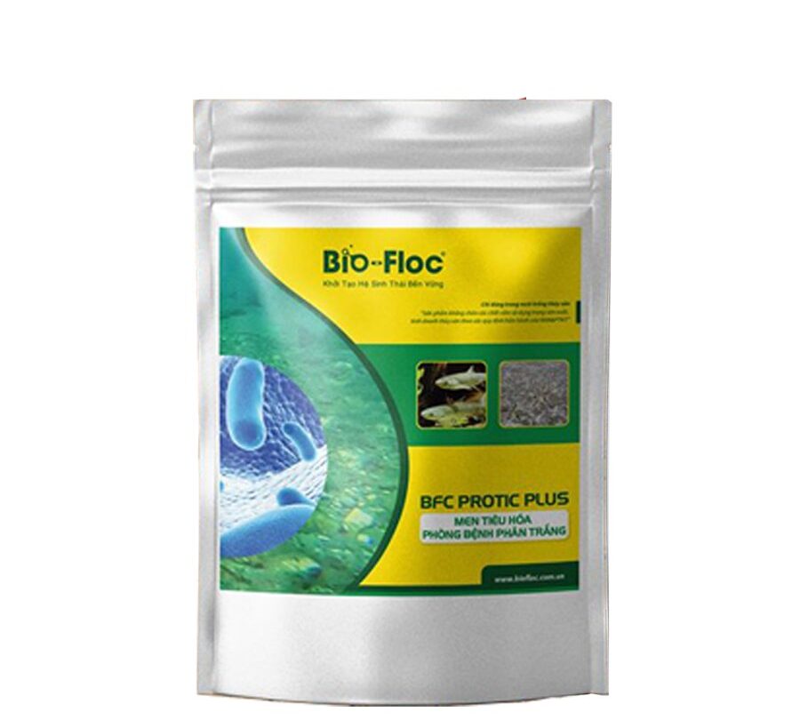 BFC PROTIC PLUS