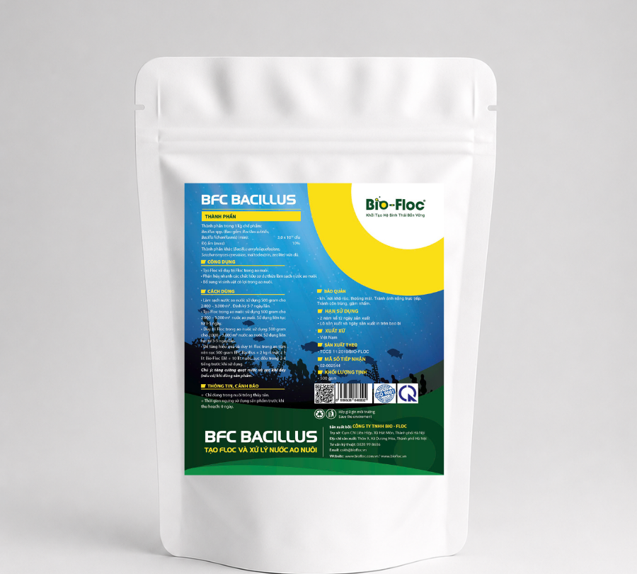 BFC BACILLUS