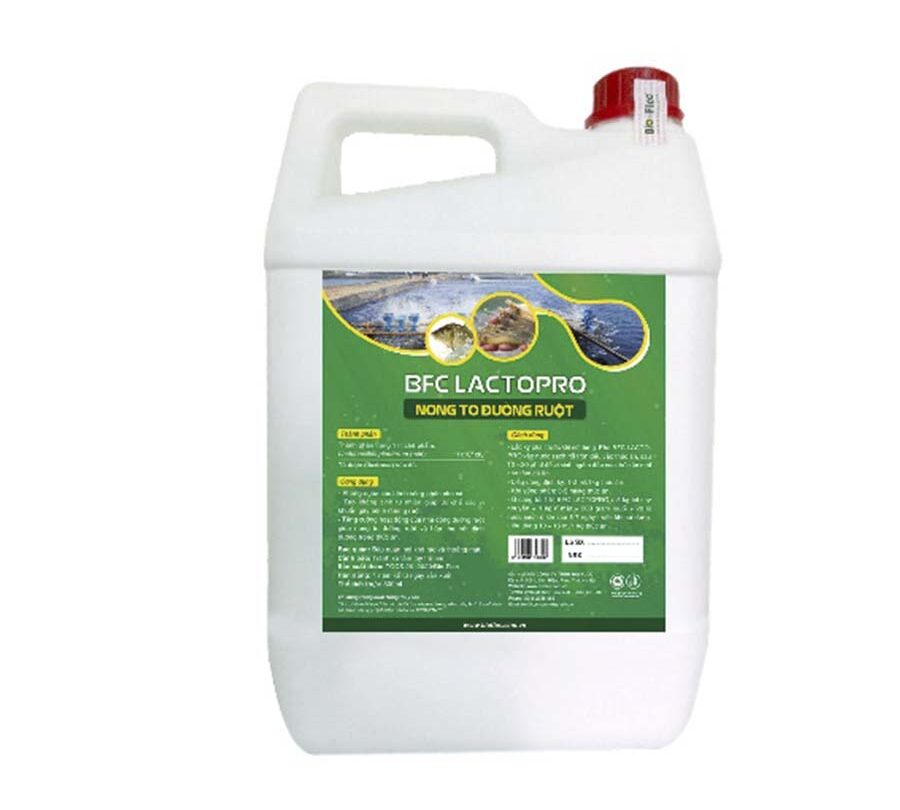 Sản phẩm BFC LACTOPRO