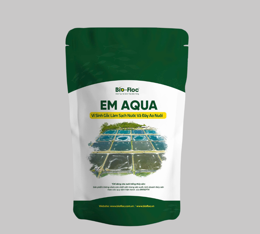 EM AQUA