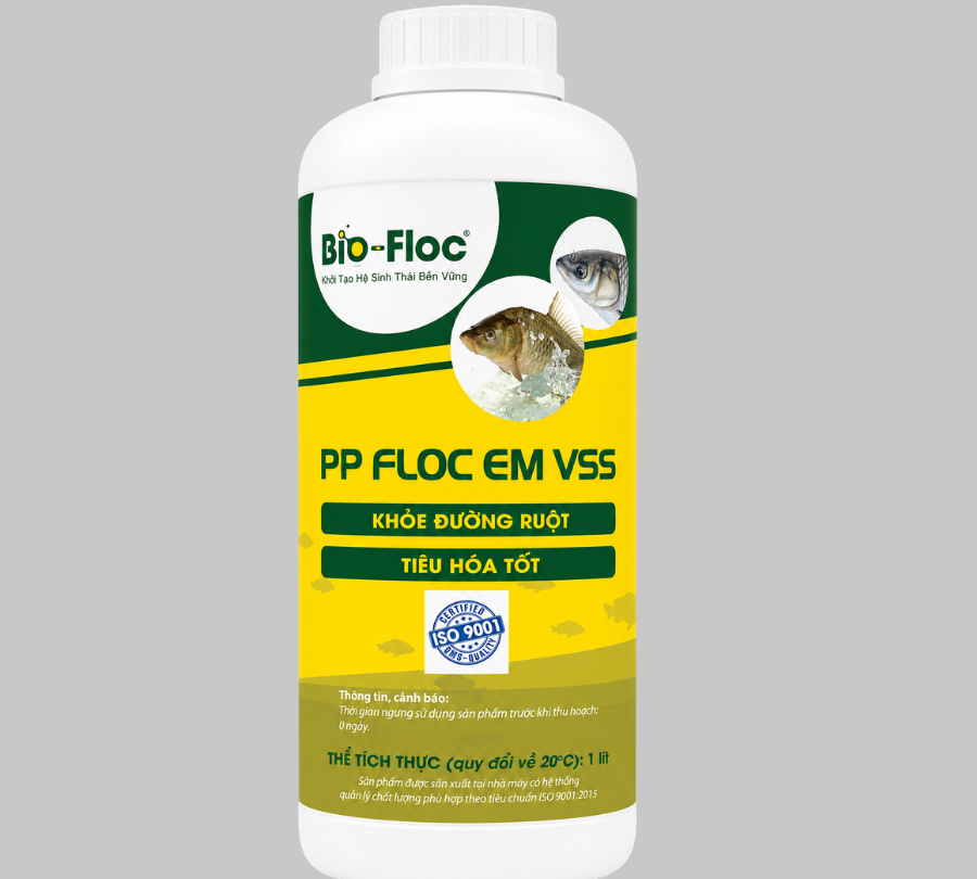chế phẩm sinh học chế phẩm sinh học thủy sản chế phẩm sinh học cho tôm chế phẩm sinh học cho cá chế phẩm sinh học trong nuôi trồng thủy sản men vi sinh thủy sản men vi sinh cho tôm men vi sinh cho cá men tiêu hóa cho tôm men tiêu hóa cho cá probiotic cho tôm probiotic thủy sản vi sinh thủy sản vi sinh cho tôm vi sinh cho cá vi sinh xử lý nước vi sinh xử lý nước ao nuôi vi sinh xử lý nước ao tôm vi sinh xử lý đáy ao vi sinh xử lý đáy ao tôm vi sinh xử lý bùn đáy vi sinh xử lý bùn đáy ao tôm