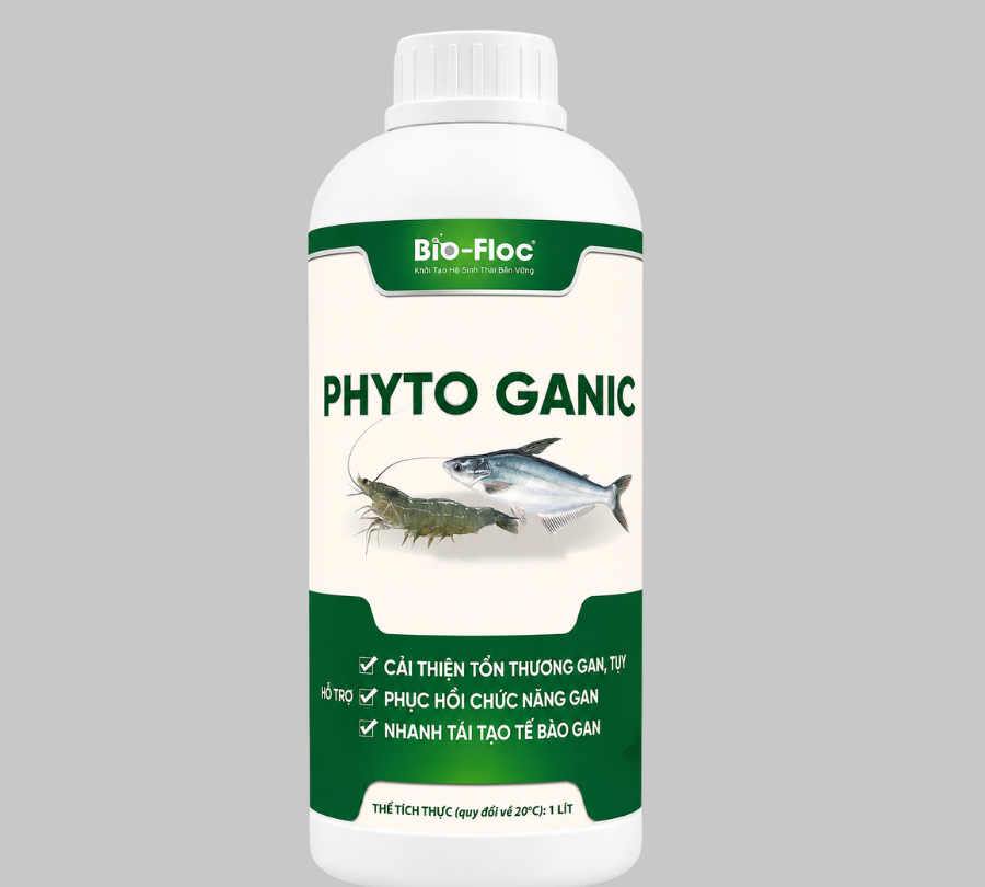 chế phẩm sinh học chế phẩm sinh học thủy sản chế phẩm sinh học cho tôm chế phẩm sinh học cho cá chế phẩm sinh học trong nuôi trồng thủy sản men vi sinh thủy sản men vi sinh cho tôm men vi sinh cho cá men tiêu hóa cho tôm men tiêu hóa cho cá probiotic cho tôm probiotic thủy sản vi sinh thủy sản vi sinh cho tôm vi sinh cho cá vi sinh xử lý nước vi sinh xử lý nước ao nuôi vi sinh xử lý nước ao tôm vi sinh xử lý đáy ao vi sinh xử lý đáy ao tôm vi sinh xử lý bùn đáy vi sinh xử lý bùn đáy ao tôm