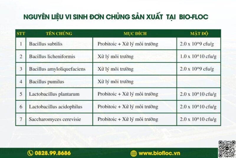 Nguyên liệu vi sinh đơn chủng
