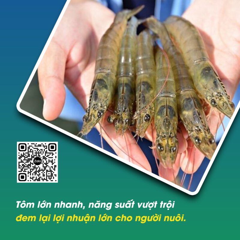 Công nghệ Biofloc