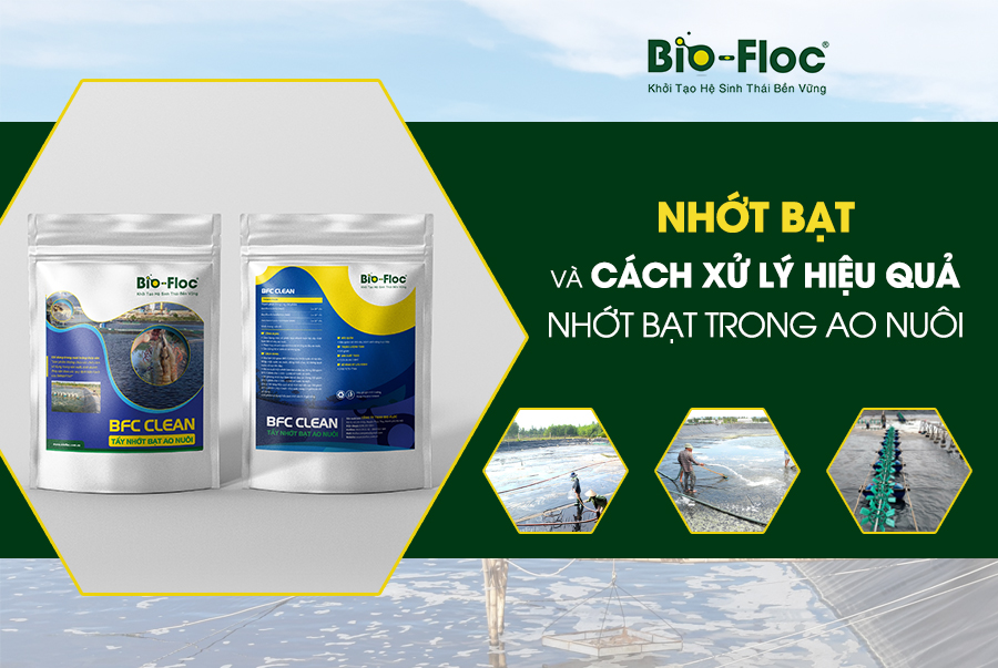 cách xử lý nhớt bạt