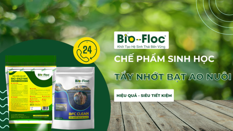 nhớt bạt trong ao nuôi