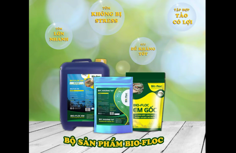 gây màu nước trà