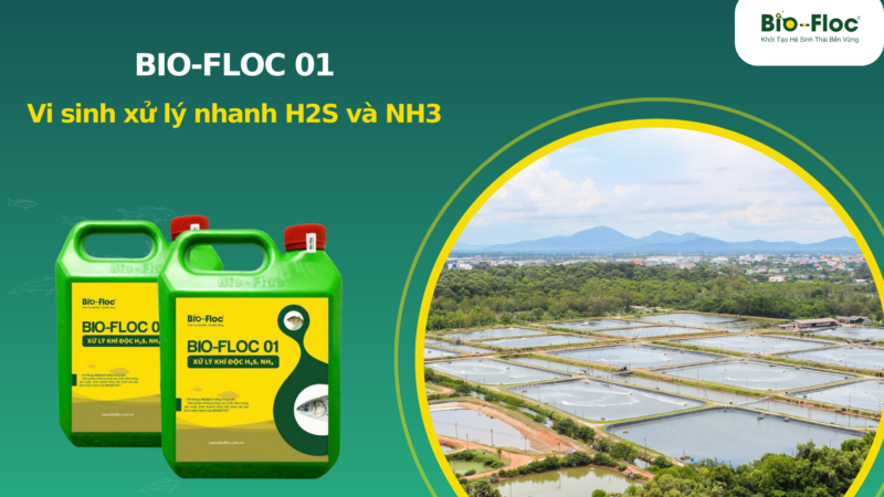 BIO-FLOC 01