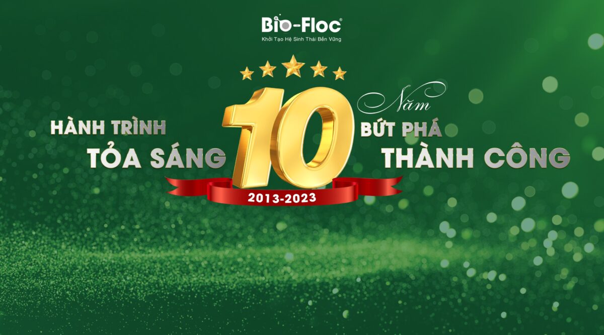 hành trình 10 năm