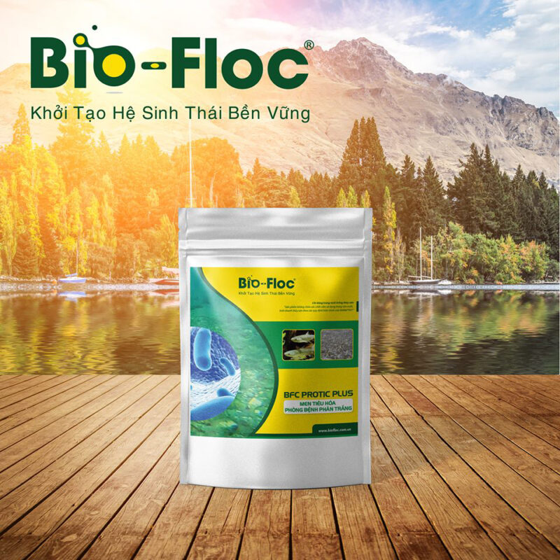Sản phẩm BFC Protic plus
