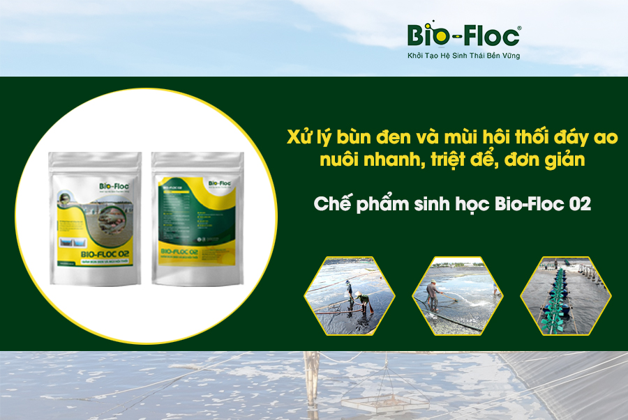 Xử lý bùn đen và mùi hôi thối