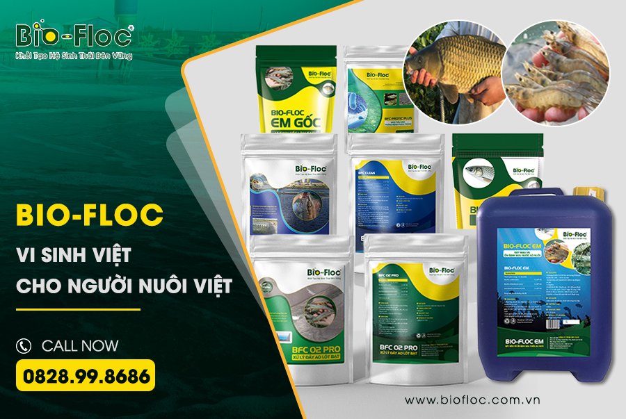 ứng dụng công nghệ Biofloc
