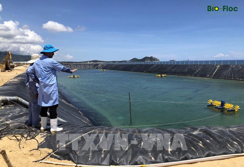 công nghệ Biofloc 