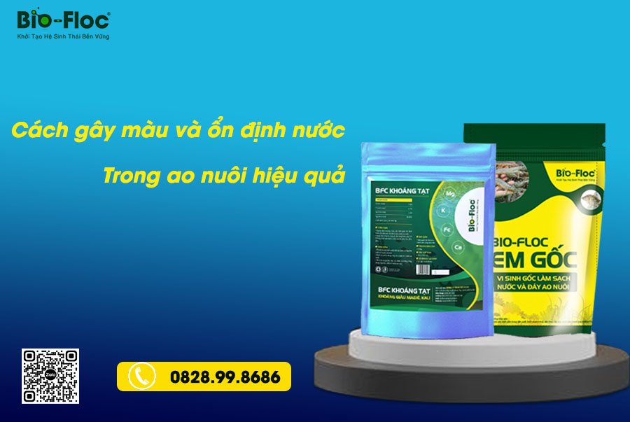gây màu và ổn định nước