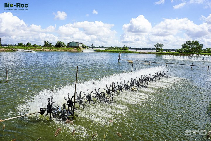 gây màu và ổn định nước