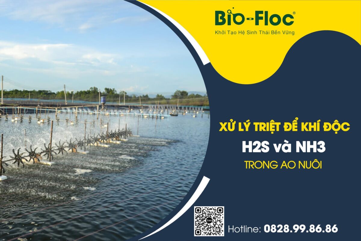 xử lý khí độc NH3