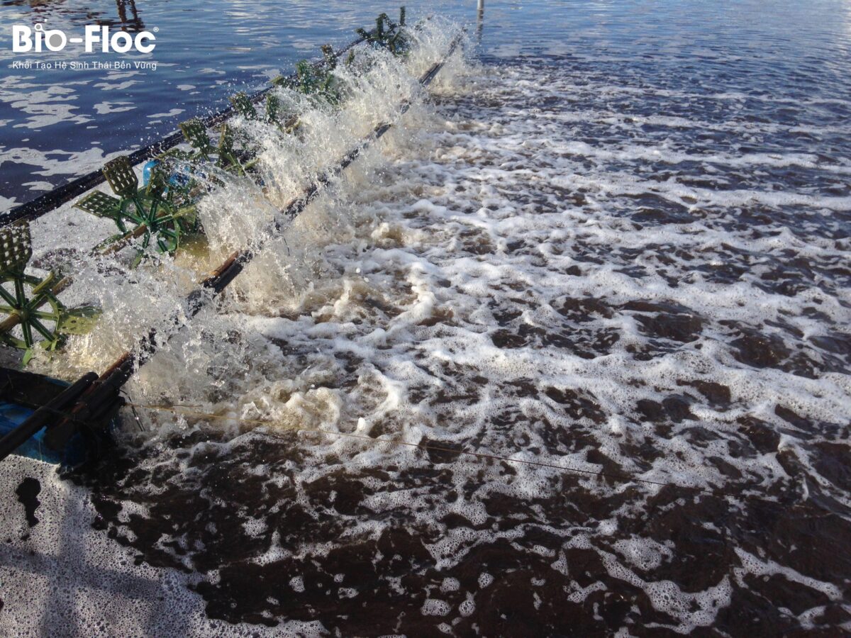 xử lý khí độc NH3, Khí độc H2S