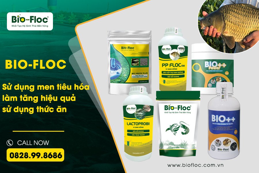 sử dụng thức ăn trong nuôi cá