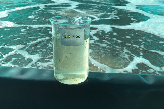 cải tạo và xử lý nước