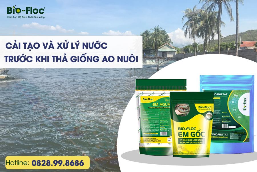 cải tạo và xử lý nước