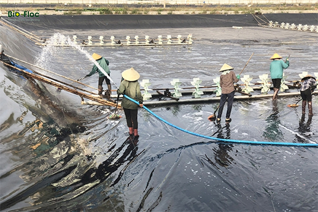 cải tạo và xử lý nước