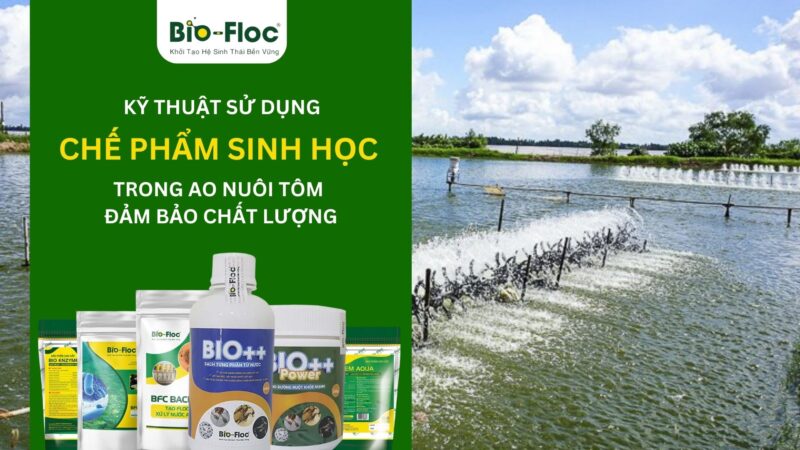Kỹ thuật sử dụng chế phẩm sinh học