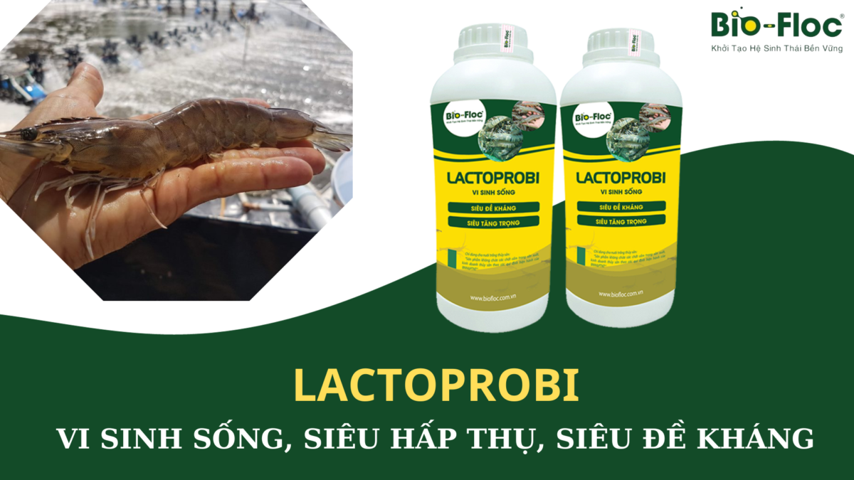 Lactoprobi