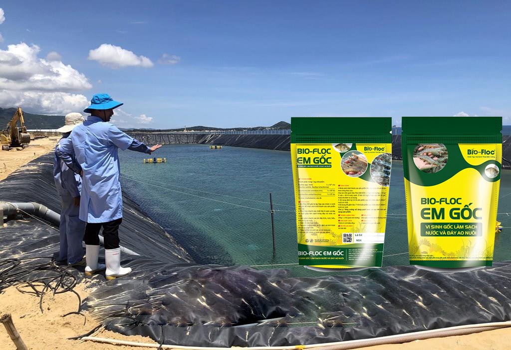 xử lý ao nuôi cá, Môi trường nhân sinh khối