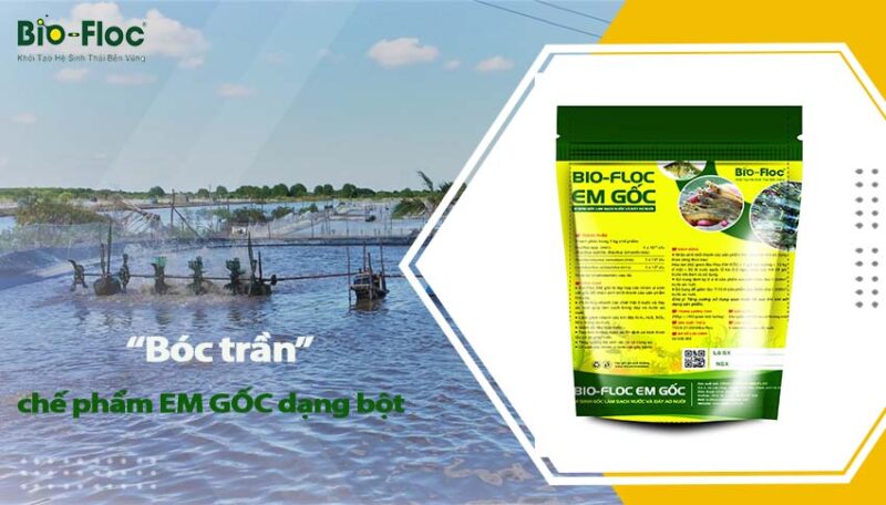chế phẩm EM Gốc dạng bột