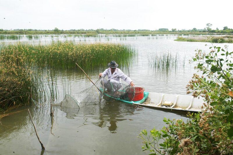 nuôi tôm quảng canh