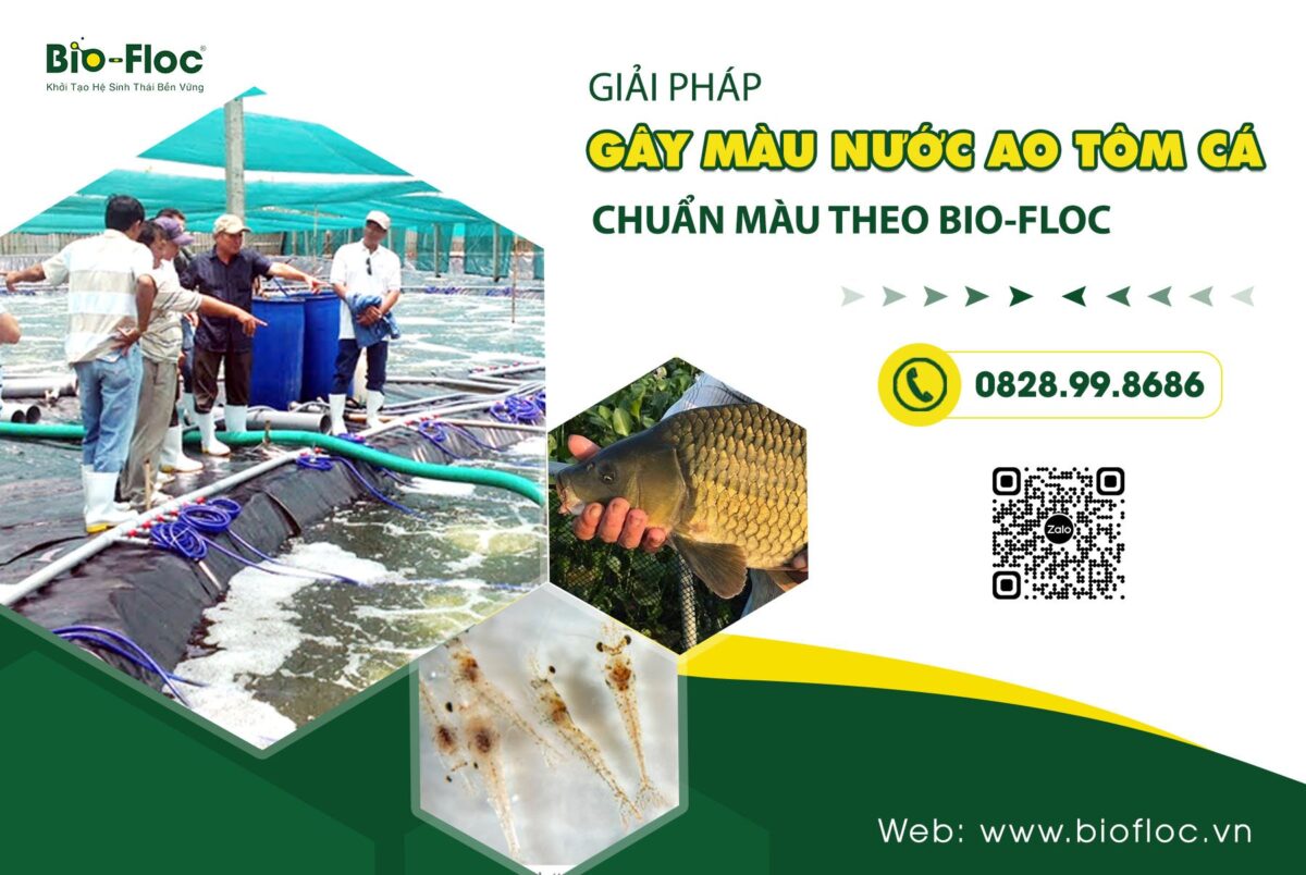 Giải pháp gây màu nước