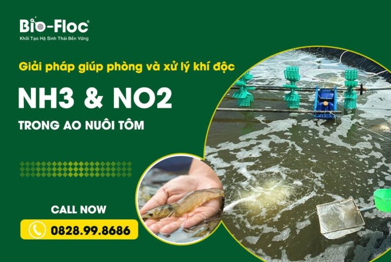 xử lý khí độc NH3 & NO2