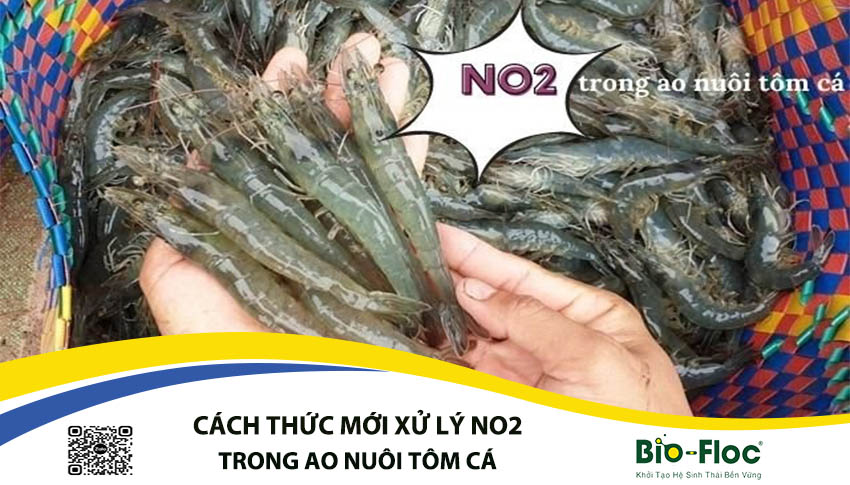 xử lý NO2