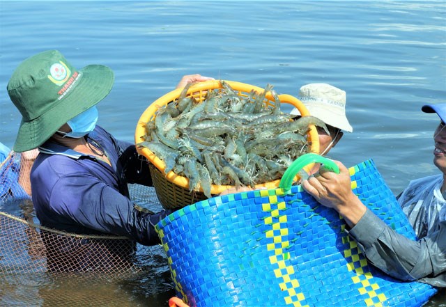 Festival thủy sản Cà Mau