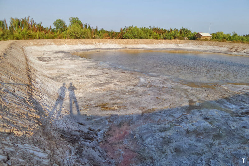 chế phẩm sinh học xử lý đáy ao