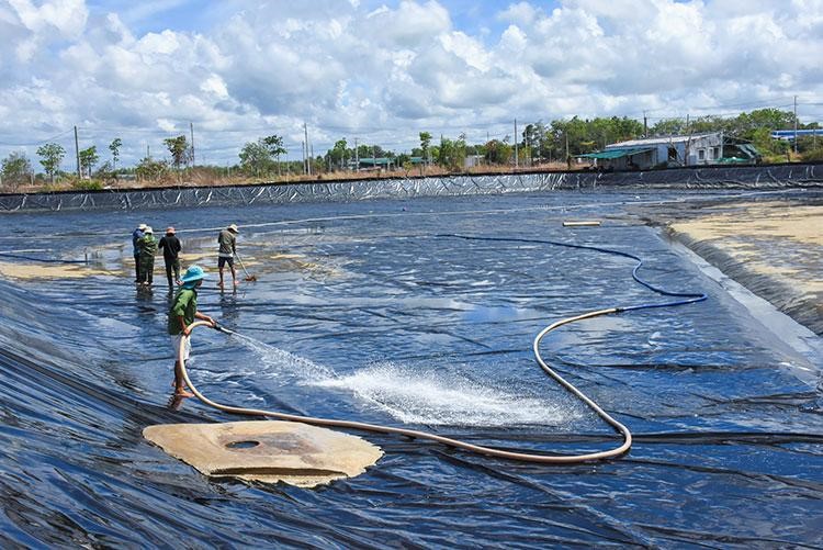 chế phẩm sinh học xử lý đáy ao