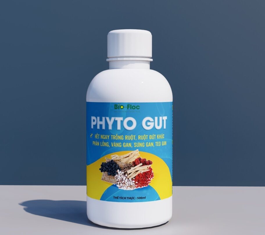 PHYTO GUT