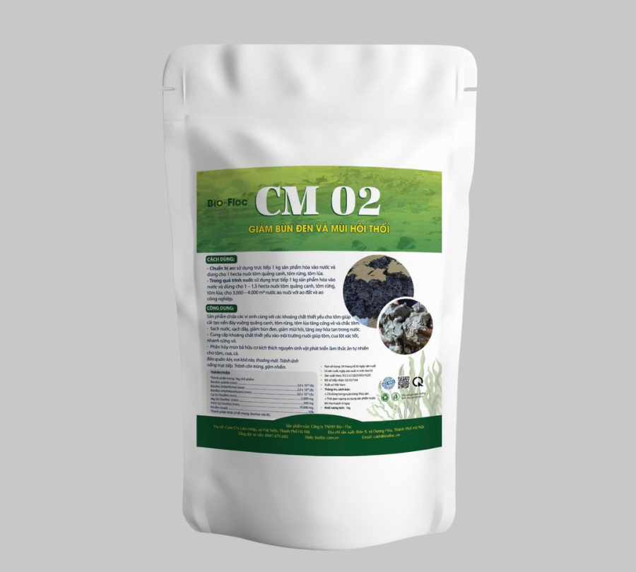 CM 02