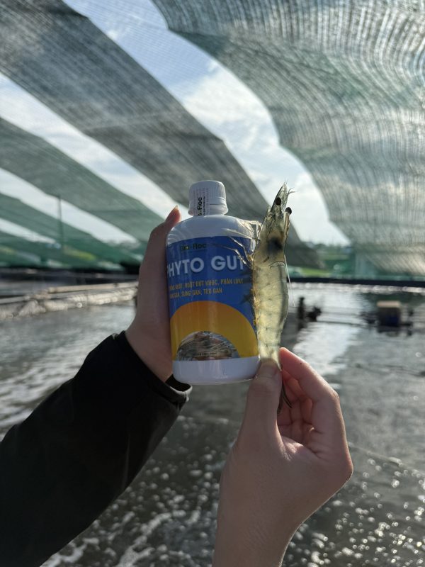 trị bệnh phân trắng