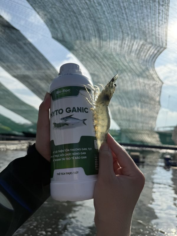 trị bệnh phân trắng